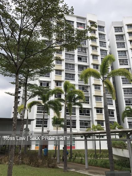 Blk 571C Woodlands Avenue 1 (Woodlands), HDB 3 Rooms #181379042